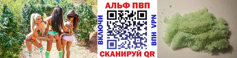 Альфа ПВП СК КРИС  Коломна 